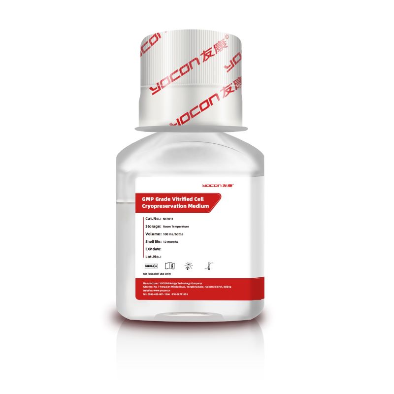 GMP Grade Vitrified Cell Cryopreservation