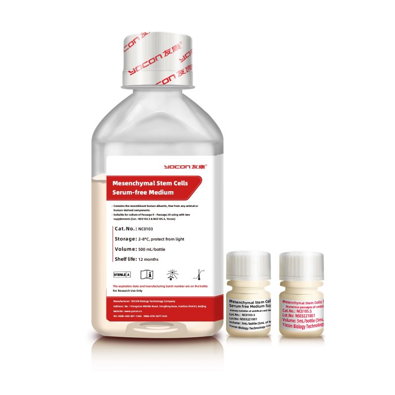 MSC_Serum_free_medium