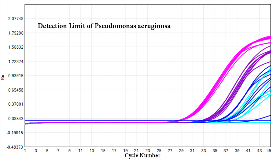 Detection Limit of Pseudomonas aeruginosa