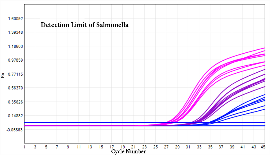 Detection Limit of Salmonella