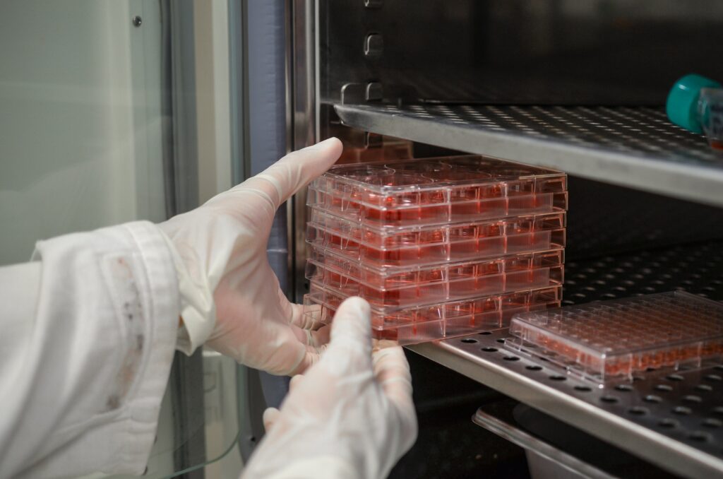 Incubation of cell in cell culture plate